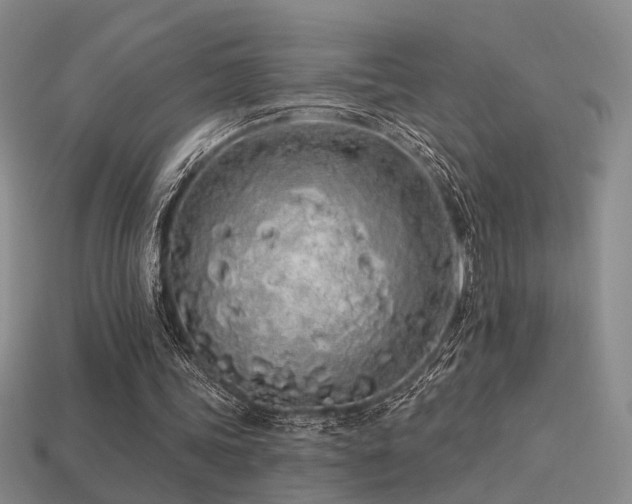 X0000113530339200909181139
