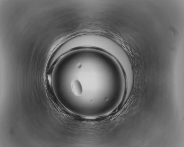 X0000113530340200909181139