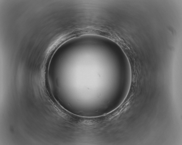 X0000113530341200909181139