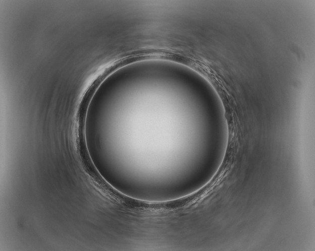 X0000113530342200909181139
