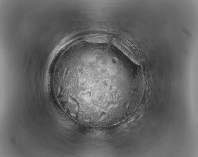X0000113530343200909181139