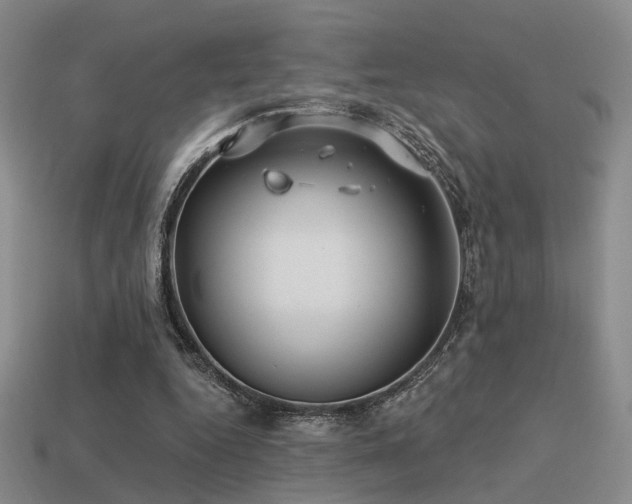 X0000113530344200909181139