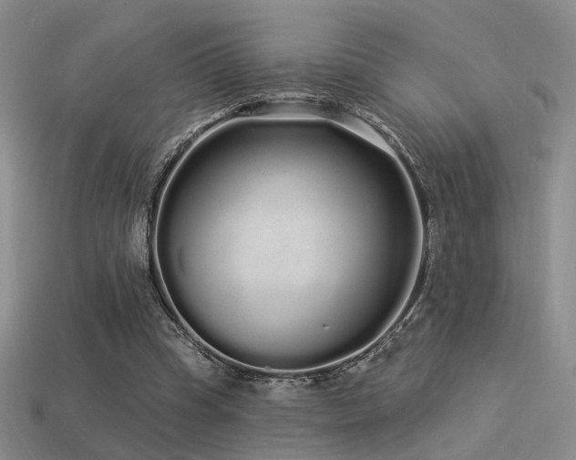 X0000113530345200909181140