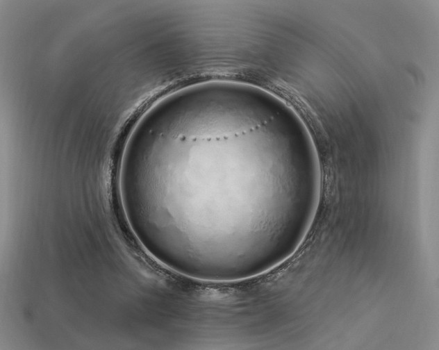 X0000113530346200909181140