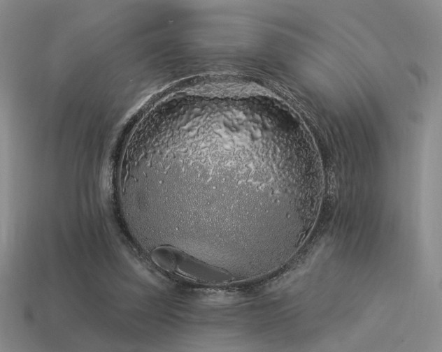 X0000113530347200909181140