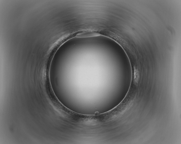 X0000113530348200909181140