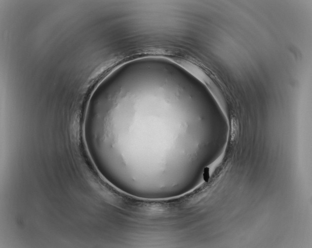 X0000113530349200909181140