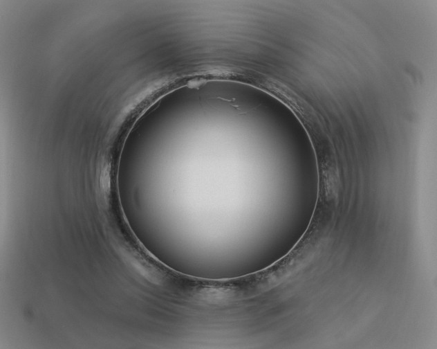 X0000113530350200909181140