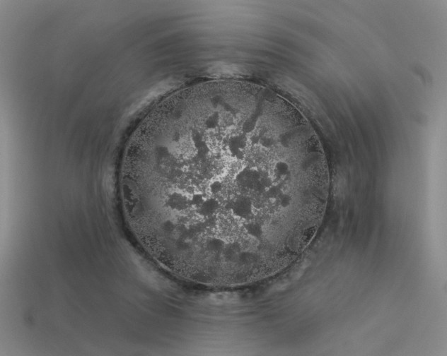 X0000113530353200909181140