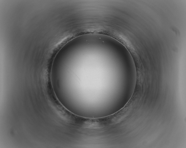 X0000113530354200909181140