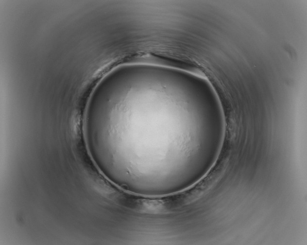 X0000113530355200909181140
