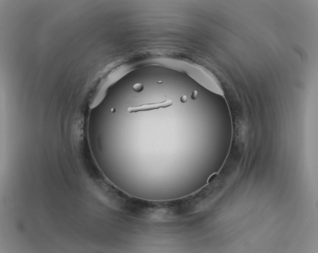 X0000113530356200909181140