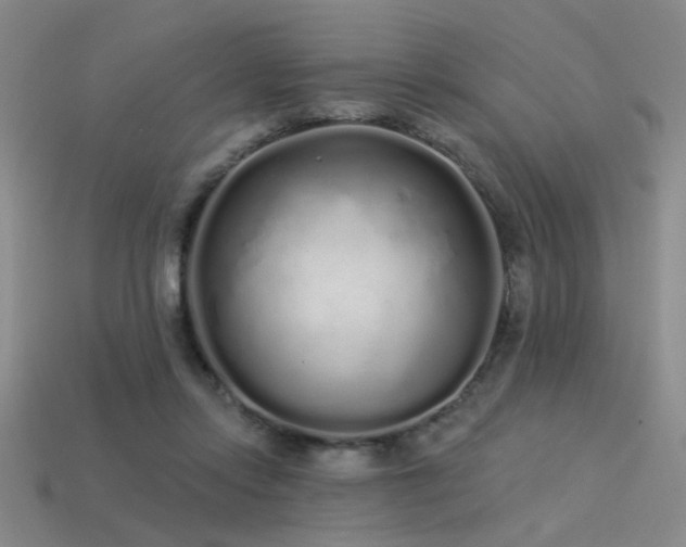 X0000113530358200909181140