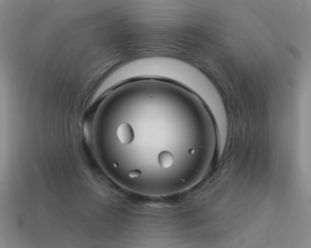 X0000113530360200909181140