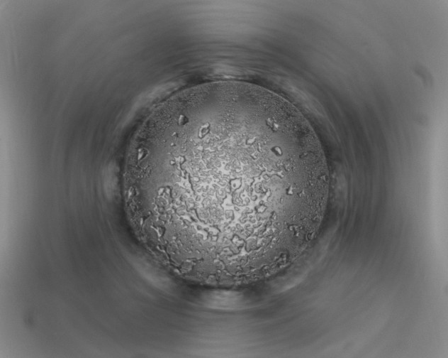 X0000113530361200909181140