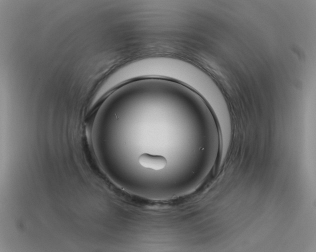 X0000113530362200909181140
