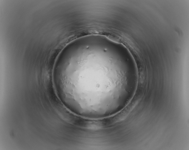 X0000113530363200909181140