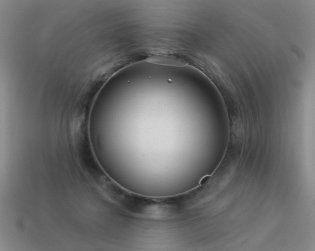 X0000113530364200909181140
