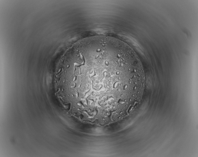 X0000113530365200909181140