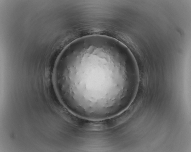 X0000113530366200909181140