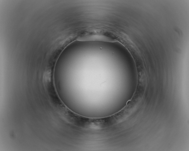 X0000113530368200909181140