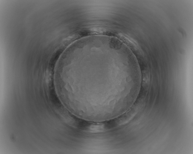 X0000113530369200909181140