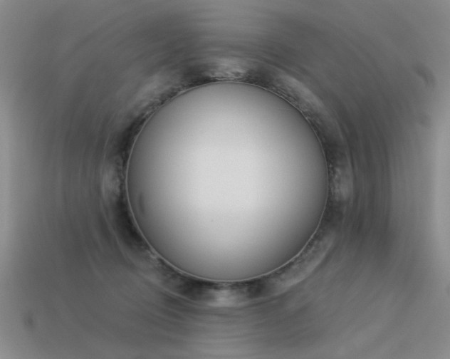X0000113530370200909181140