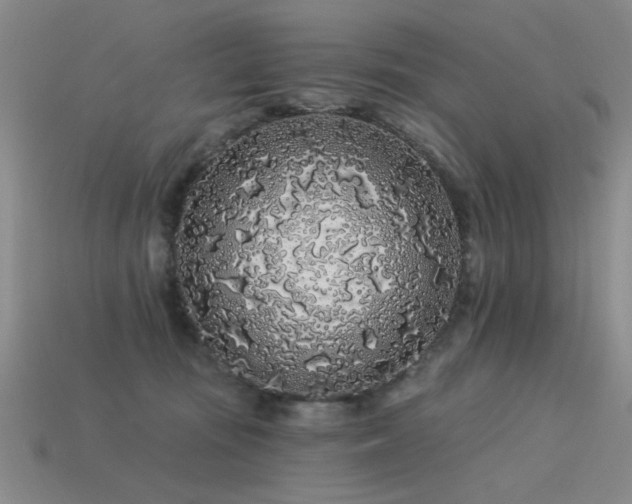 X0000113530371200909181140