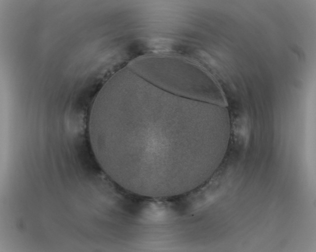 X0000113530372200909181140