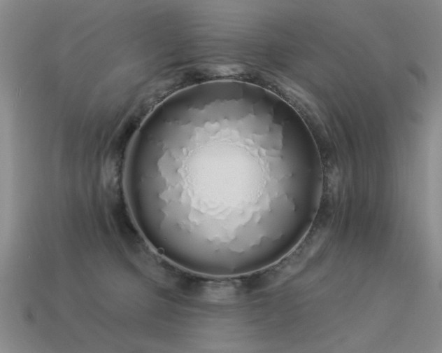 X0000113530373200909181140