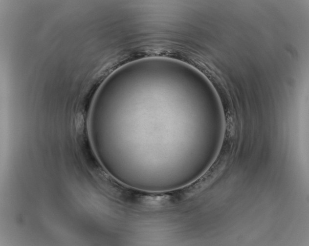 X0000113530375200909181140