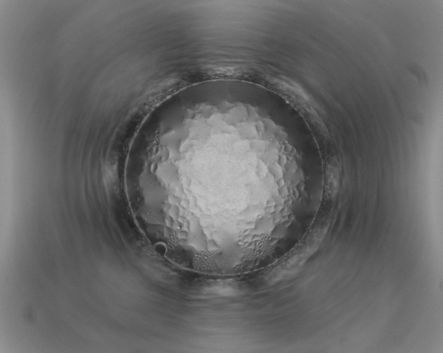 X0000113530377200909181140