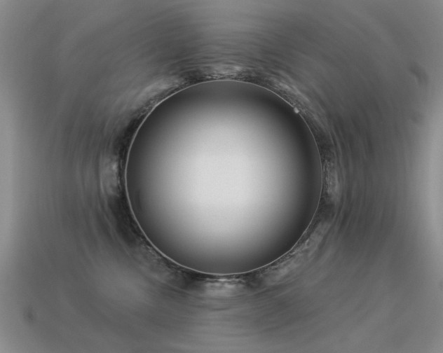 X0000113530378200909181140
