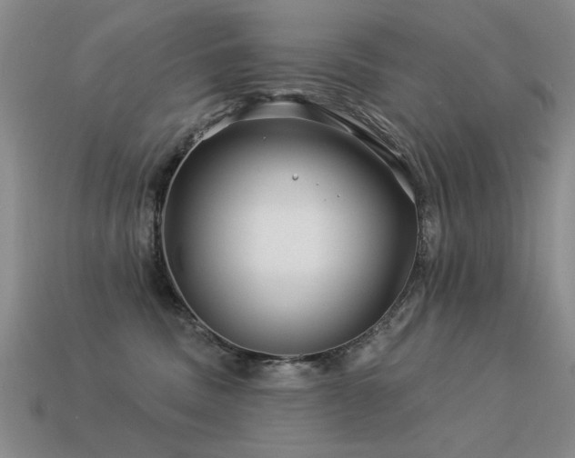 X0000113530379200909181140