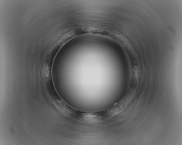 X0000113530380200909181140