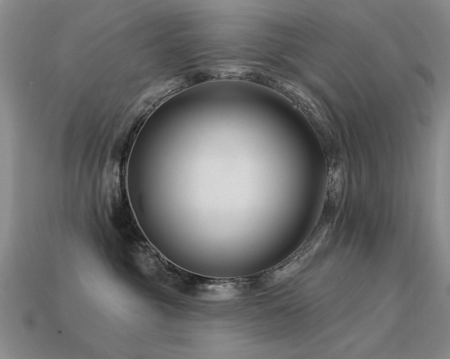 X0000113530381200909181140