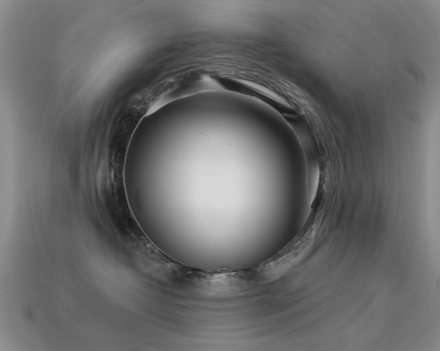 X0000113530382200909181140