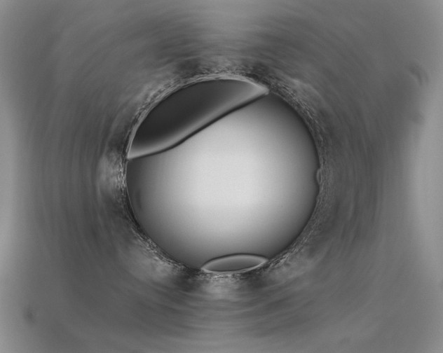 X0000113530384200909181140
