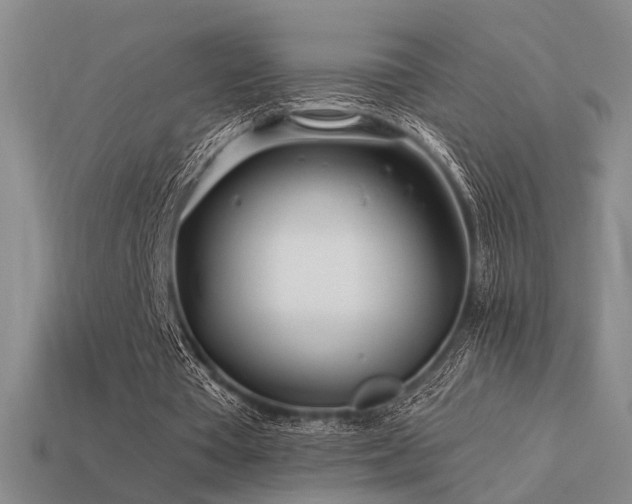 X0000113530385200909181139