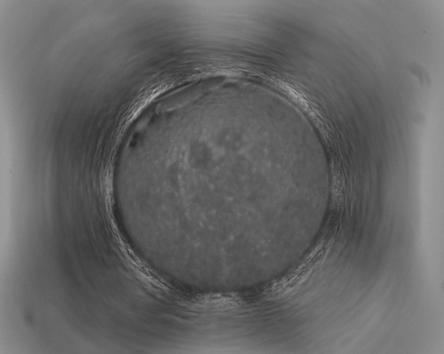 X0000113530386200909181139