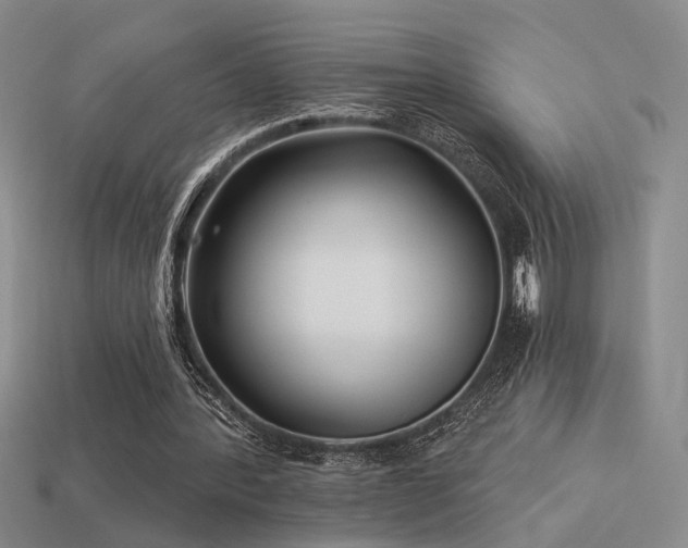 X0000113530388200909181139