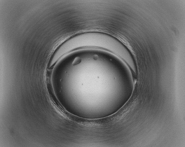 X0000113530389200909181139