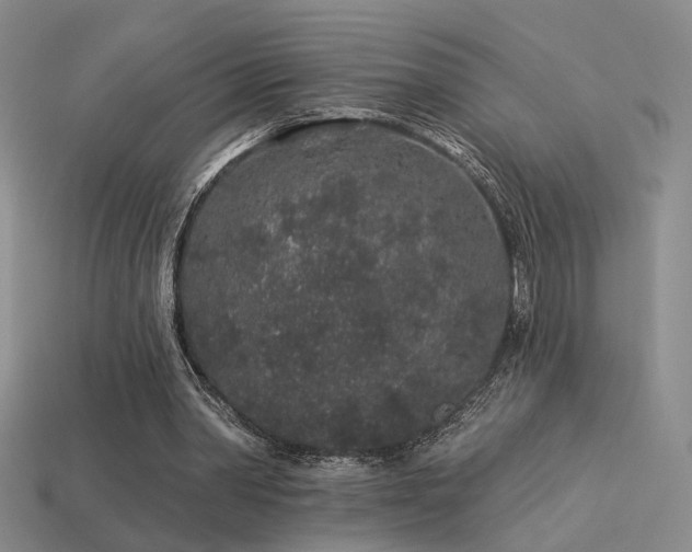 X0000113530390200909181139