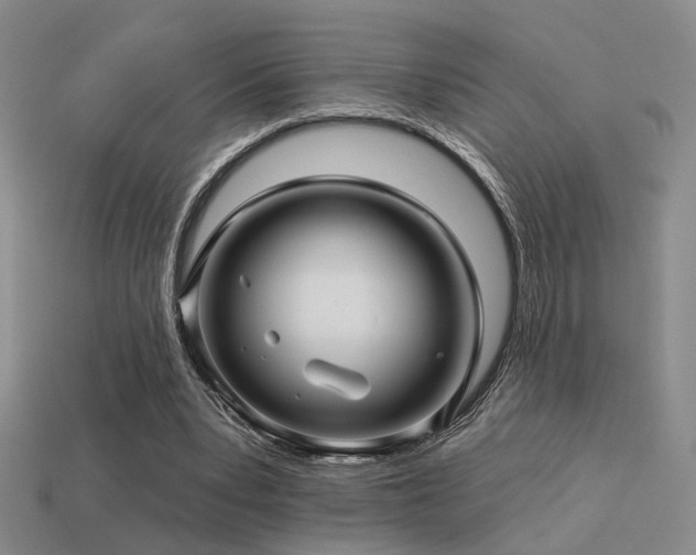 X0000113530391200909181139