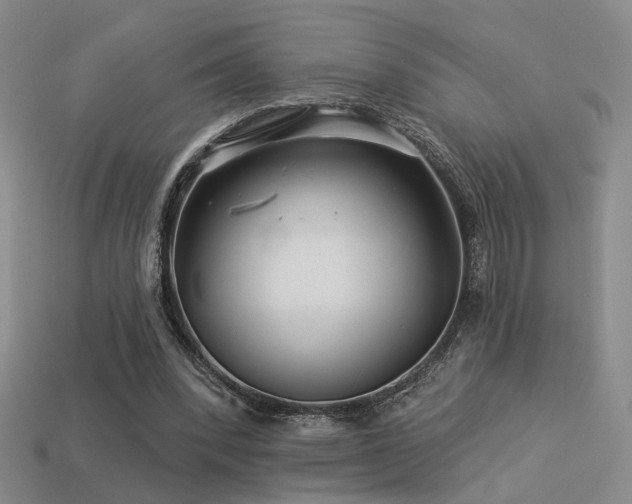 X0000113530392200909181139