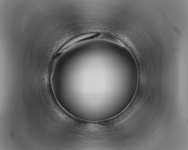X0000113530393200909181139