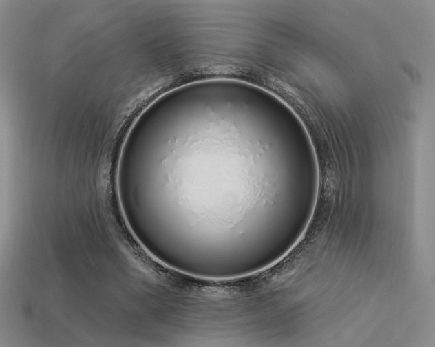 X0000113530394200909181139