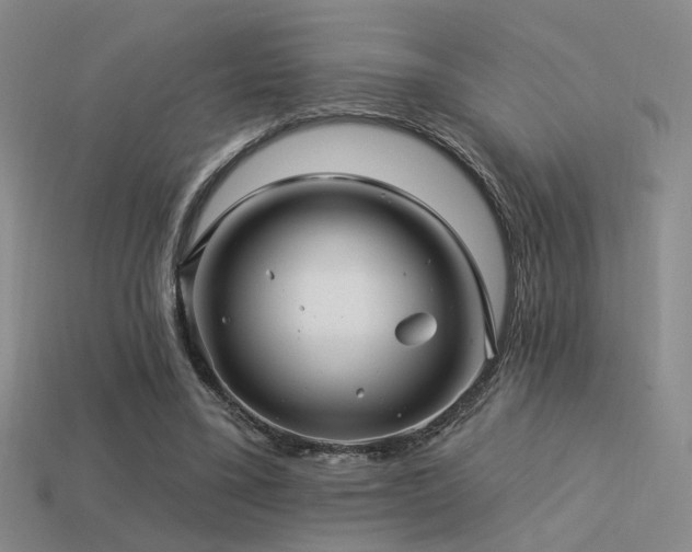X0000113530395200909181139