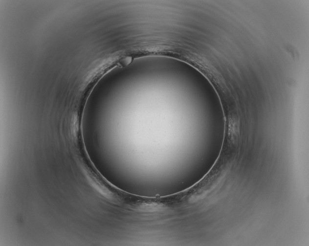 X0000113530397200909181139
