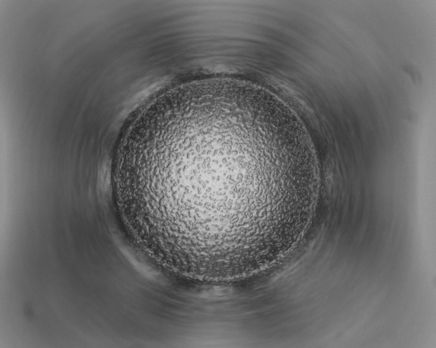 X0000113530398200909181139